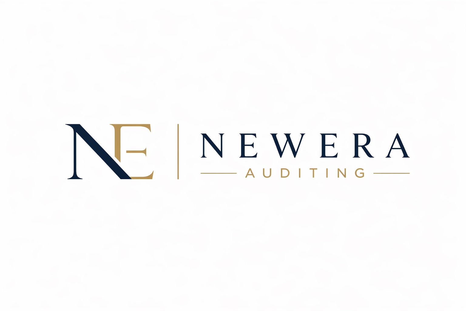 Logo NewEra Auditing